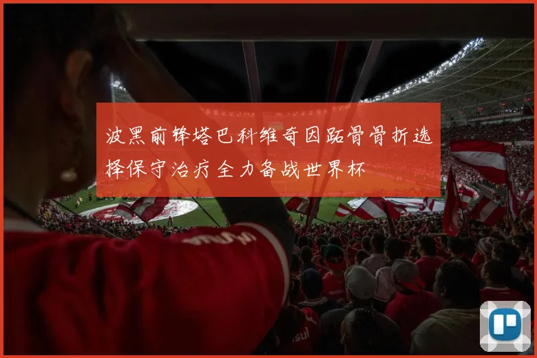 波黑前锋塔巴科维奇因跖骨骨折选择保守治疗全力备战世界杯